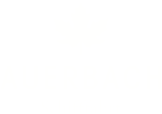 Auerbach Schifffahrt Logo